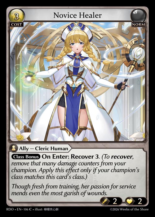 Novice Healer
