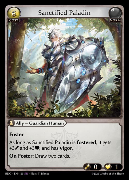 Sanctified Paladin